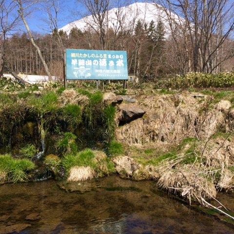 食べることは生きること。