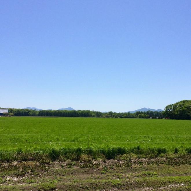 食べることは生きること。