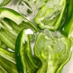 夏を振り返った話。