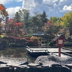 秋の庭園散策へ