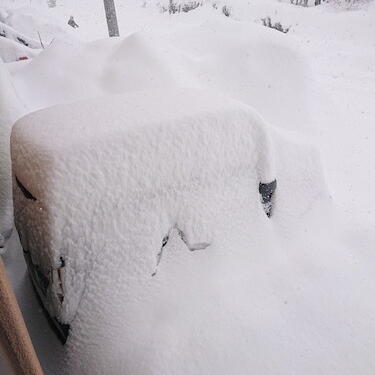 雪からの解放、一コマ