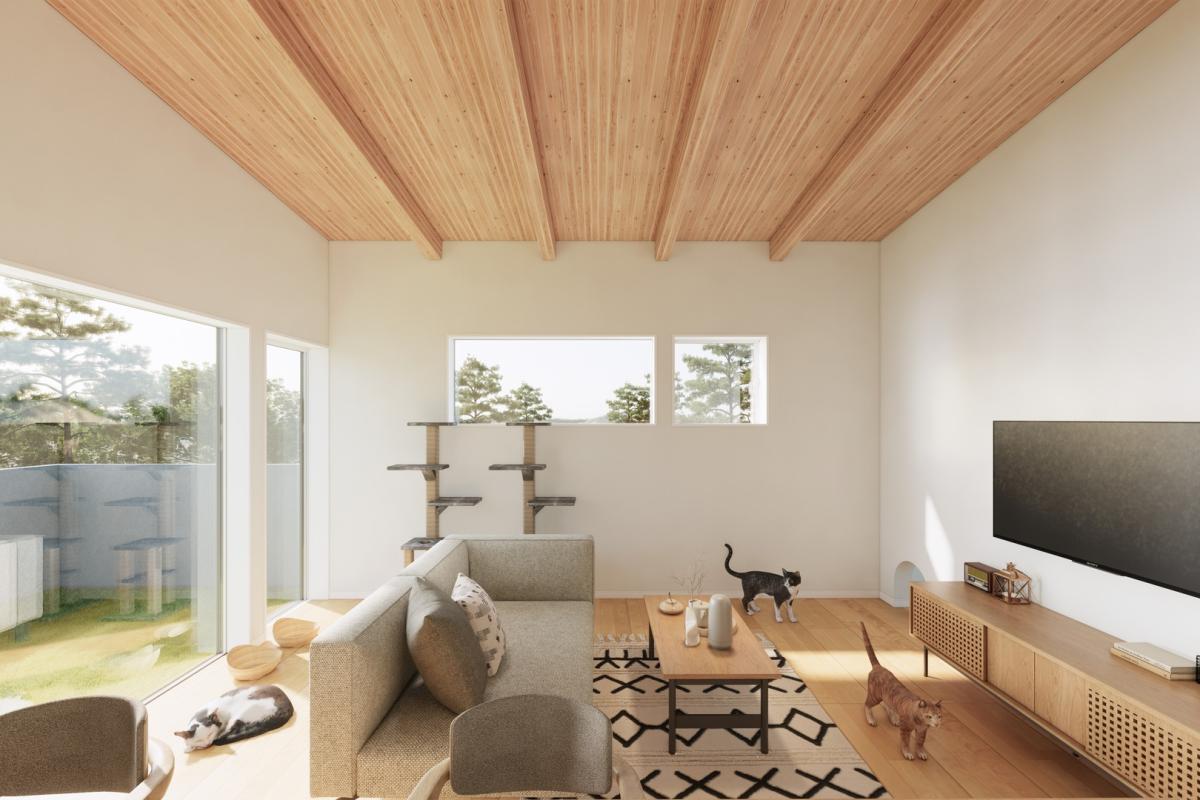 竹内建設のモデルハウス 3匹の猫と暮らす、自然換気の優しい平屋