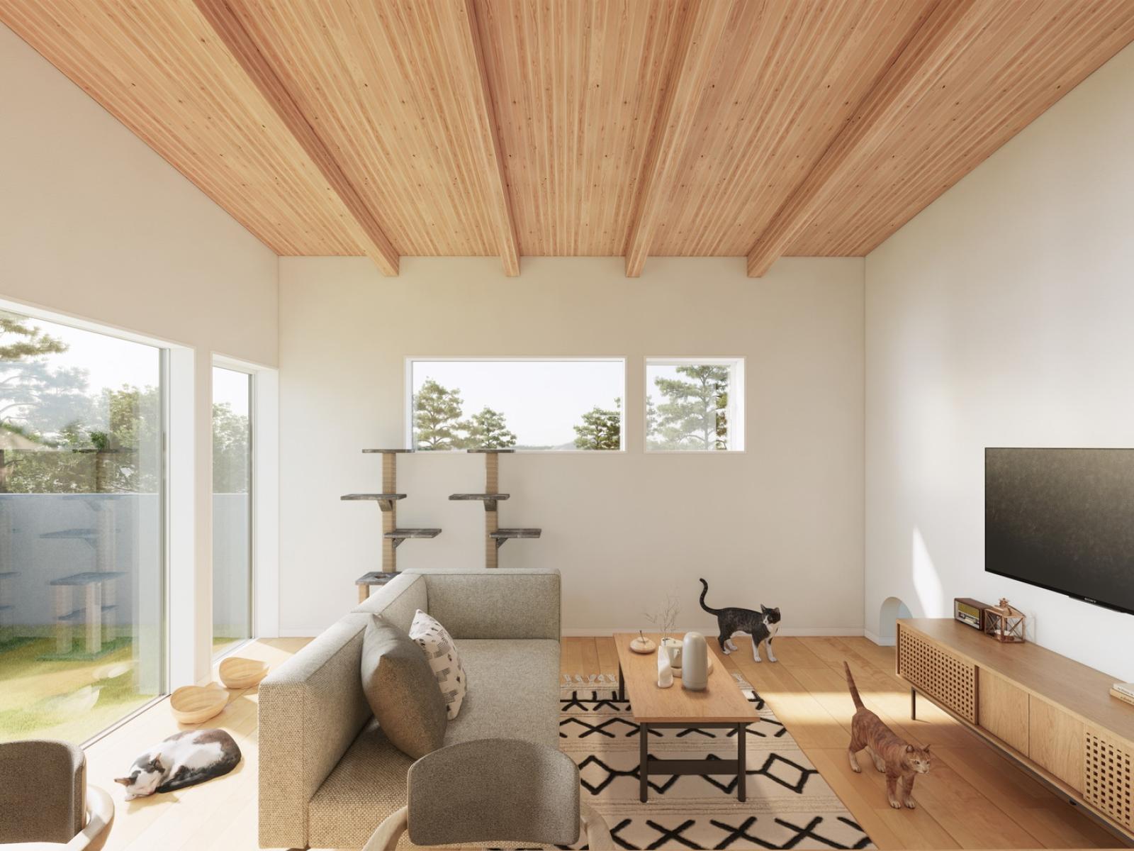 竹内建設のモデルハウス 3匹の猫と暮らす、自然換気の優しい平屋