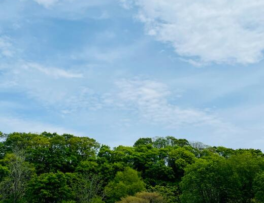 竹内建設のコラム 仕事中のほっと一息(^^)