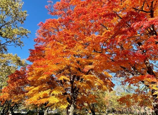 竹内建設のコラム 今週末のイベント情報(^^)