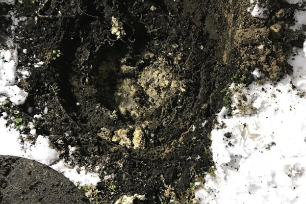 竹内建設のコラム 排水桝
