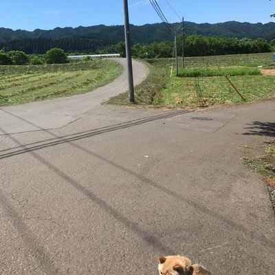 竹内建設のコラム スギちゃん