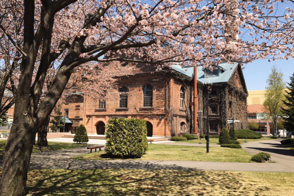竹内建設のコラム 桜・Nest・連休のこと