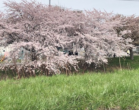 竹内建設のコラム またまた