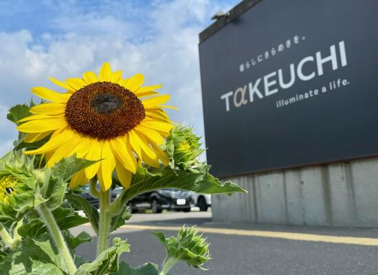 竹内建設のコラム ひまわり(^^)