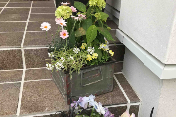 竹内建設のコラム やっと終わったＧＷ・・・