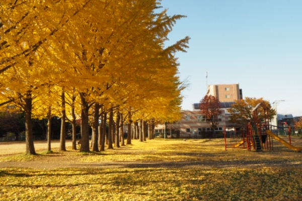 竹内建設のコラム 11月の見学会は、「キッチンで過ごす時間がときめく家」