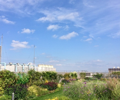 竹内建設のコラム 芸術の秋(^^)