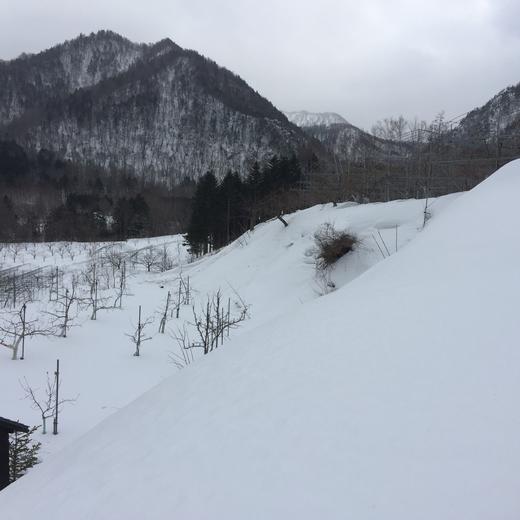 地材地消道産材作品