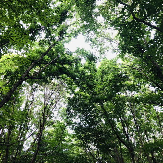 北海道らしさ