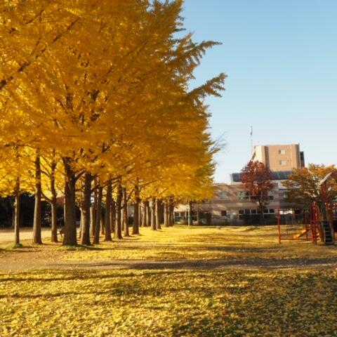 11月の見学会は、「キッチンで過ごす時間がときめく家」