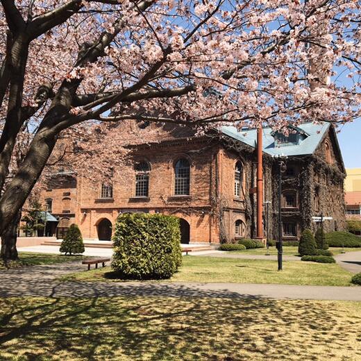 桜・Nest・連休のこと