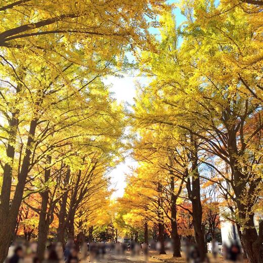 週末のイベント情報(^^)