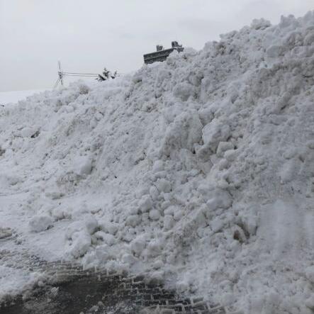 すごい雪ですね