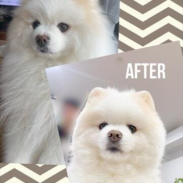 リノベーションbefore after！