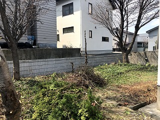 IMG_8160.jpg
